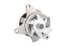 Насос охолоджуючої рідини, з ущільненням VOLVO V70 III  FORD C-MAX, ECOSPORT, FIESTA V, FOCUS C-MAX, FOCUS II, FOCUS III, GALAXY I, GALAXY II, GALAXY MK II, KUGA II, MAVERICK 1.8-2.5 10.00- P251