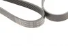 Ремень генератора HUTCHINSON 2442 K 6 (фото 4)