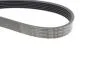 Ремінь (поліклиновий) HUTCHINSON 2498 K 6 (фото 3)