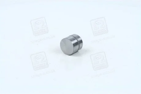 Гидрокомпенсатор (пр-во Mobis) Hyundai/Kia/Mobis 2223137100