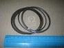Кольца поршневые std (выр-во Mobis) Hyundai/Kia/Mobis 2304023400 (фото 1)