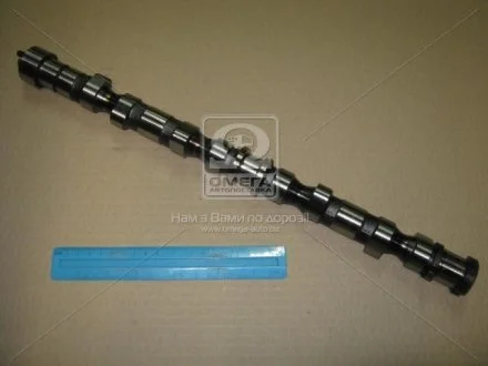 Распредвал (Mobis) Hyundai/Kia/Mobis 2410027402