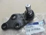 Шарова опора передня нижня (вир-во Mobis) Hyundai/Kia/Mobis 545303S100 (фото 2)