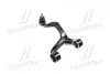 Рычаг подвески (Mobis) Hyundai/Kia/Mobis 551203K000 (фото 1)