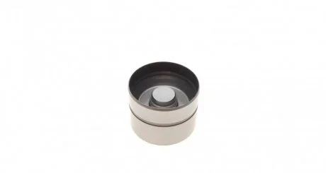 Товкач клапана T4 1.9TD/T5/Caddy III 2.0i/2.5i/VW/Audi/Skoda INA 420 0043 10