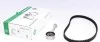 Комплект ГРМ (ремень + ролик) Renault Clio / Kangoo 1.2 87z INA 530 0182 10 (фото 1)
