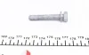Комплект ременя ГРМ VW TOUAREG 3.0 V6 TDI 10/02 - INA 530 0585 10 (фото 9)