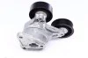 Натяжитель ремня Ford Focus II / C-MAX 1.8TDCi 11.04- INA 534 0309 10 (фото 3)