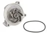 Насос водяной помпа AUDI A6, VW Crafter 30-35-50, LT, Transporter 2.5 Tdi Ruville 65426 INA 538 0045 10 (фото 1)