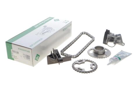 Комплект ланцюгів привода INA 559 1822 30 (фото 1)