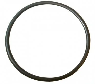Прокладка флянца сист. охолодження Caddy 03- 1.9/2.0 SDI/TDI/T5 1.9 TDI JP GROUP 1119606400 (фото 1)