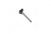 Клапан впускной VAG 1,9TDi 99- 35.9x7x89.9 KOLBENSCHMIDT 331033 (фото 1)
