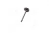 Клапан впускной VAG 1,9TDi 99- 35.9x7x89.9 KOLBENSCHMIDT 331033 (фото 2)