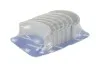 Вкладыши шатунные Ford Transit Connect STD 02- 1.8 37 021 600