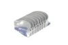Вкладиші шатунні комплект ALFA ROMEO / FIAT / IVECO / OPEL / RENAULT / SEAT 2,5D / TD 77155610
