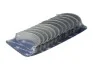 Вкладыши коренные комплект CHRYSLER / MB / SSANGYONG OM612 77519610