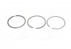 Кольца поршневые комплект на 1 цилиндр AUDI / VW 1,6-2,2 KOLBENSCHMIDT 800000911000 (фото 1)