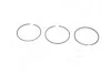 Кільця поршневі, комплект на 1 циліндр DAF/FORD/PEUGEOT/SSANGYONG 2,3D/2,5D 800004110000