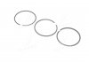 Поршневые кольца 92 STD (4cyl) Opel 2.3TD 88-94 (2.5 * 2 * 4) KOLBENSCHMIDT 800021610000 (фото 3)