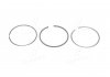 Кольца поршневые комплект на 1 цилиндр FIAT Bravo, Doblo, Marea 1,9JTD 98- 800050210000
