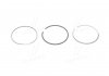 Поршневые кольца (1cyl) 69,6 STD (1.5x1.5x2) Alfa/Chevrolet/Fiat/Lancia/Opel/Pegout/Opel 1.3 JTDM/Multijet/D 06- 800112010000