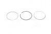 Поршневые кольца (1cyl) 69,6 STD (1.5x1.5x2) Alfa/Chevrolet/Fiat/Lancia/Opel/Pegout/Opel 1.3 JTDM/Multijet/D 06- 800112010000
