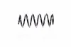 Пружина K-FLEX VW Caddy передняя сторона 04-15 RH3551