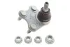 Шарова опора AUDI / SEAT / SKODA / VW A1 / Ibiza / Fabia / Polo передня права сторона 00 - LEMFORDER 3390601 (фото 1)