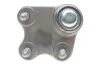 Шарова опора AUDI / SEAT / SKODA / VW A1 / Ibiza / Fabia / Polo передня права сторона 00 - LEMFORDER 3390601 (фото 3)