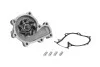 Насос охолоджуючої рідини FORD RANGER  MAZDA B-SERIE, BT-50, MPV I 2.5D 05.96-12.15 352316170739