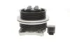 Насос охолоджуючої рідини AUDI A1 SEAT ALHAMBRA, IBIZA IV, IBIZA IV SC, IBIZA IV ST SKODA FABIA II VW BEETLE, CC B7, EOS, GOLF PLUS V, GOLF V, GOLF VI, JETTA III 1.4/1.4CNG 11.05-07.18 MAGNETI MARELLI 352316171245 (фото 4)