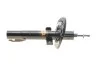 Амортизатор передн Лів/Прав RENAULT GRAND SCENIC II, SCENIC II 1.4-2.0D 06.03-12.09 MAGNETI MARELLI 356226070000 (фото 7)