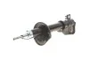 Амортизатор задн Лів LAND ROVER FREELANDER I 1.8/2.0D/2.5 02.98-10.06 MAGNETI MARELLI 357106070200 (фото 1)