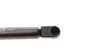 Амортизатор багажника MAGNETI MARELLI 430719002400 (фото 4)