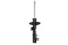 Амортизатор передній MAGNUM TECHNOLOGY AG0025MT (фото 1)