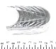 Вкладиші шатунні Mahle MB MAHLE / KNECHT 001PS18813000 (фото 2)