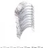 Вкладыши коренные Mahle RENAULT 19,21,11, Megane, Laguna 1,6-2,0 86- MAHLE / KNECHT 021HS20012000 (фото 3)
