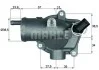 Термостат Behr 2.426.87.355 MERCEDES-BENZ MAHLE / KNECHT TH1187 (фото 1)