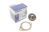 Термостат Behr 1.071.87.305 FORD / NISSAN / LAND ROVER / OPEL / SUBARU MAHLE / KNECHT TX487D (фото 1)