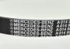 Ремінь приводний (Генератора) Mercedes ML W164 / SLK R171 / E W211 / CL C215 / CLS C219 / S W220 / SL R230 / R W251 / G W463 MERCEDES-BENZ A0149977192 (фото 2)