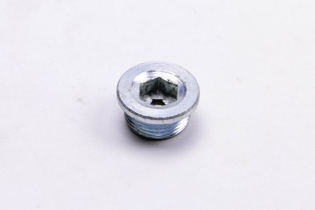 Маслосливная пробка Ducato/Jumper/Boxer 2.8HDI/JTD 94- Metalcaucho 05441 (фото 1)