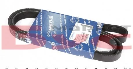 Пас полікліновий 6 PK 1725 MEYLE 0500061725