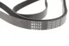 Ремень поликлиновый 6 PK 2000 MEYLE 0500062000 (фото 3)