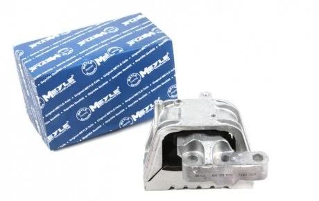 Опора двигуна VOLKSWAGEN MEYLE 100 199 0113