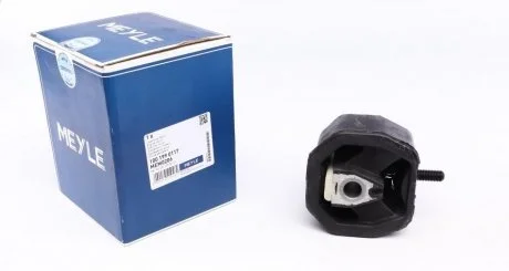 Підтримка двигуна VOLKSWAGEN MEYLE 100 199 0117