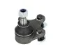 Шаровая опора правая Skoda / Seat / VW 1.0-2.0 99-10 MOOG SK-BJ-0414 (фото 1)