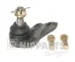 Опора шарова TOYOTA COROLLA HATCHBACK NIPPARTS J4862028 (фото 1)