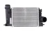 Интеркулер RENAULT KADJAR (15-) 1.2 DIG-TURBO 961120