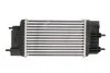 Интеркулер NISSAN EVALIA (M20_) (10-) 1.5 dCi NISSENS 961433 (фото 2)