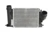 Интеркулер NISSAN X-TRAIL (T32) (14-) 1.6 dCi 96207